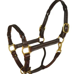 PERRIS LEATHER Perri’s® Twisted Leather Halter Havana Best