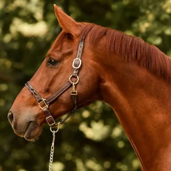 PERRIS LEATHER Perri’s® Twisted Leather Halter Havana Best