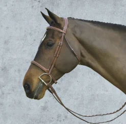 ERS Pessoa® Pro Fancy-Stitched Raised Bridle Hot