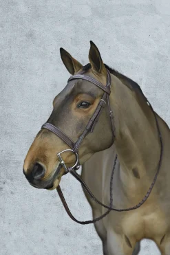 ERS Pessoa® Pro Fancy-Stitched Wide Nose Bridle Best