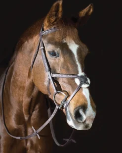 ERS Pessoa® Pro Fancy-Stitched Figure-8 Bridle Dark Brown Online