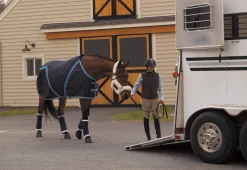 VAC S BANDAGE CO Pony Stable Bandages Hot