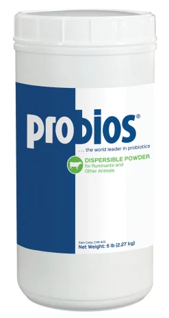 ANIMAL HEALTH INT Probios® Dispersible Powder Outlet