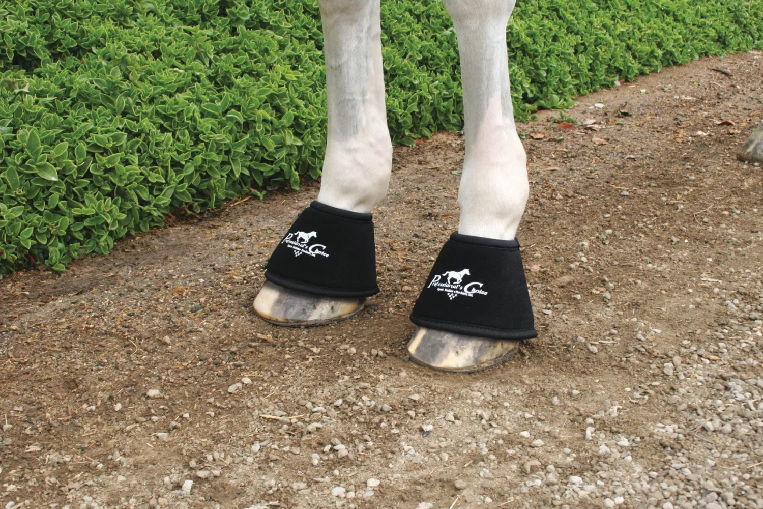 PROFESSIONALS CHOICE Professional's Choice Quick Wrap™ Bell Boots Sale