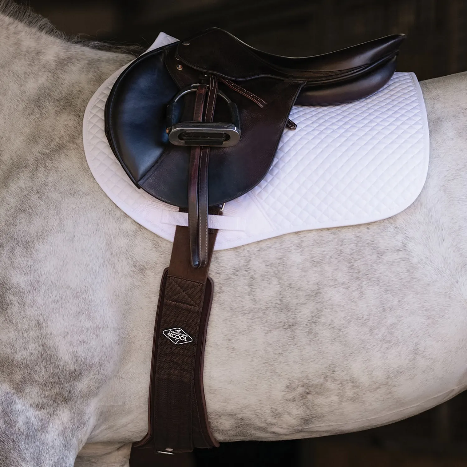 PROFESSIONALS CHOICE Professional’s Choice® 2XCool English Girth Best