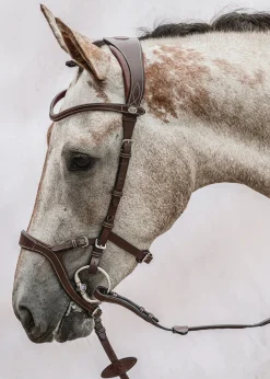 PS OF SWEDEN Nirak™ Bridle Discount