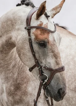 PS OF SWEDEN Nirak™ Bridle Discount
