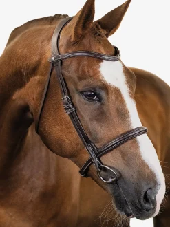 PS OF SWEDEN Ocala Hunter Bridle Brown Discount