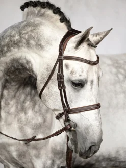 PS OF SWEDEN Ocala Hunter Bridle Brown Discount