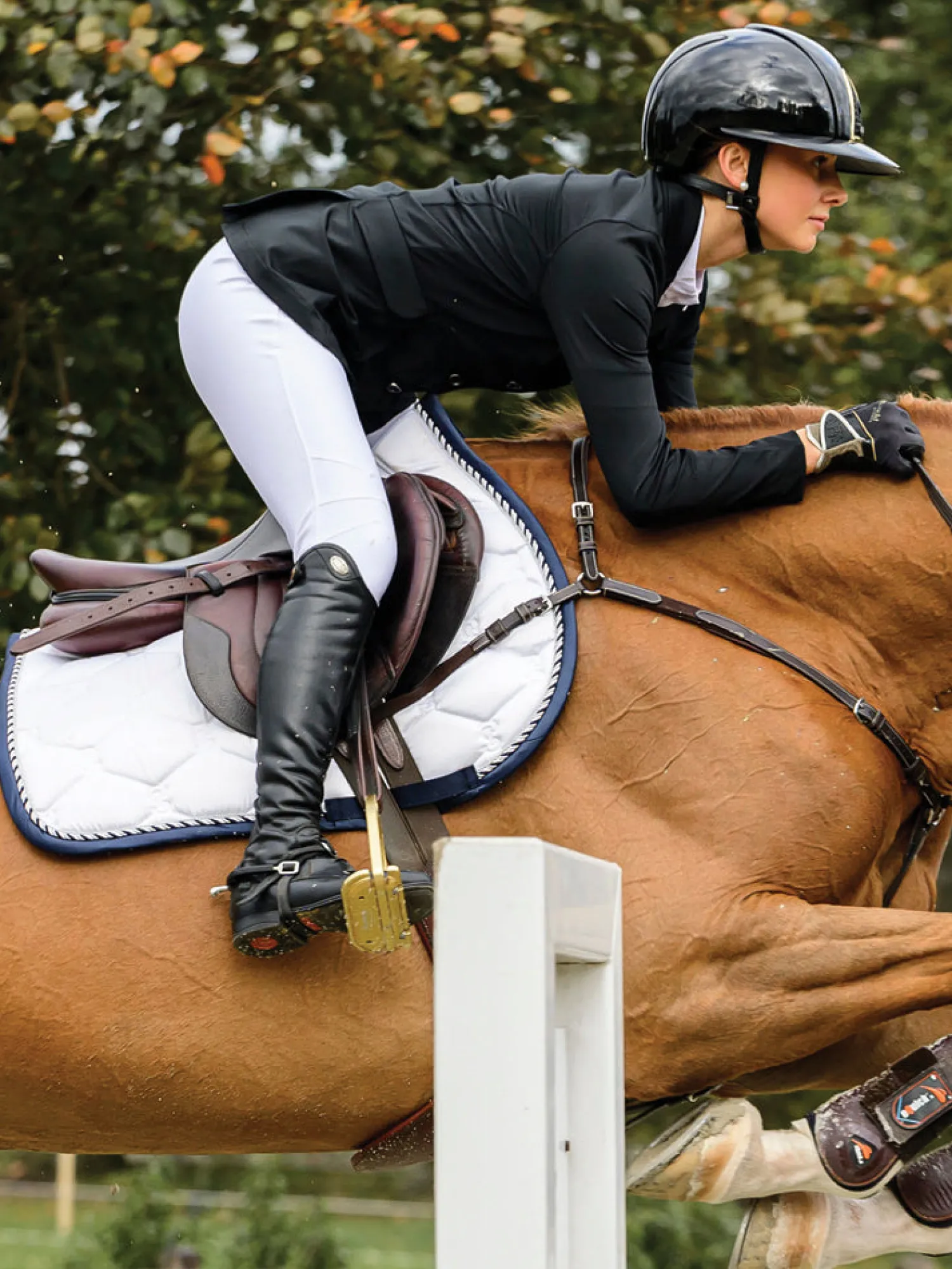 PS OF SWEDEN Signature Jump Saddle Pad Clearance