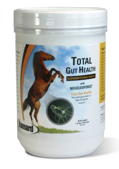 ANIMAL HEALTH INT Ramard Total Gut Health Supplement Best