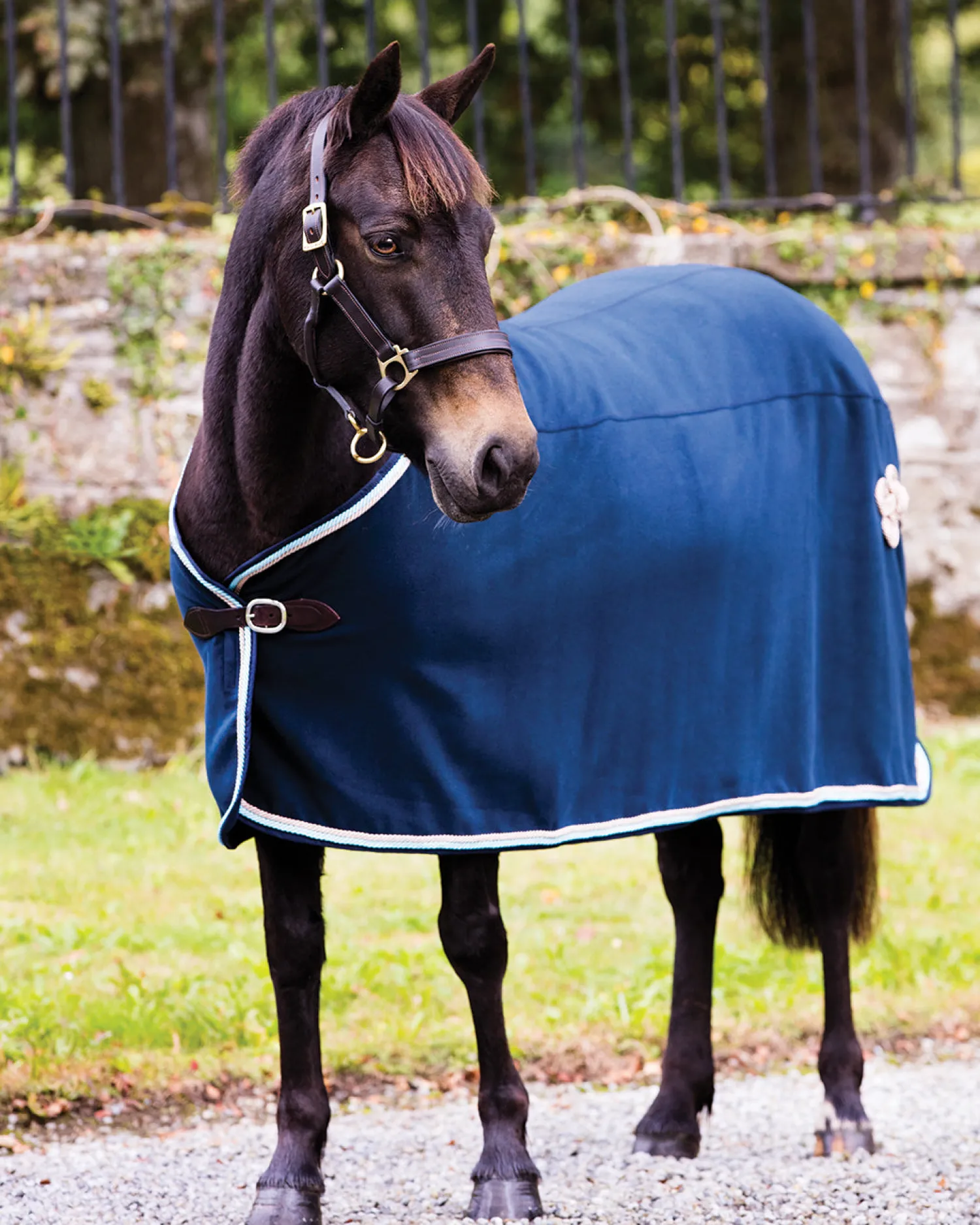 HORSEWARE Rambo® Show Blanket Online