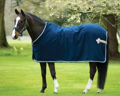 HORSEWARE Rambo® Show Blanket Online