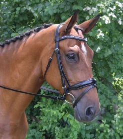 KL SELECT Red Barn Topline Bridle Black Clearance