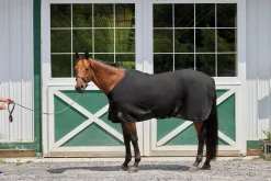 INTEX EQUESTRIAN Rider’s International™ Chill Chaser Online