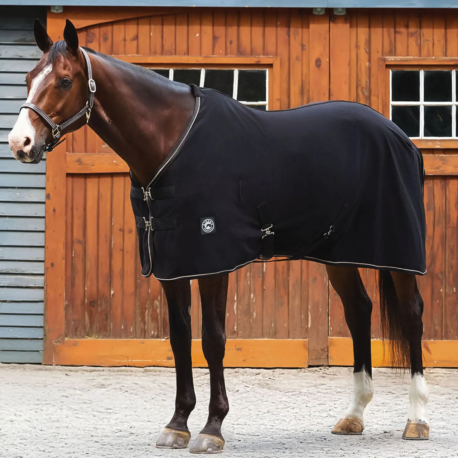 INTEX EQUESTRIAN Rider’s International™ Classic Cooler Black/Tan New