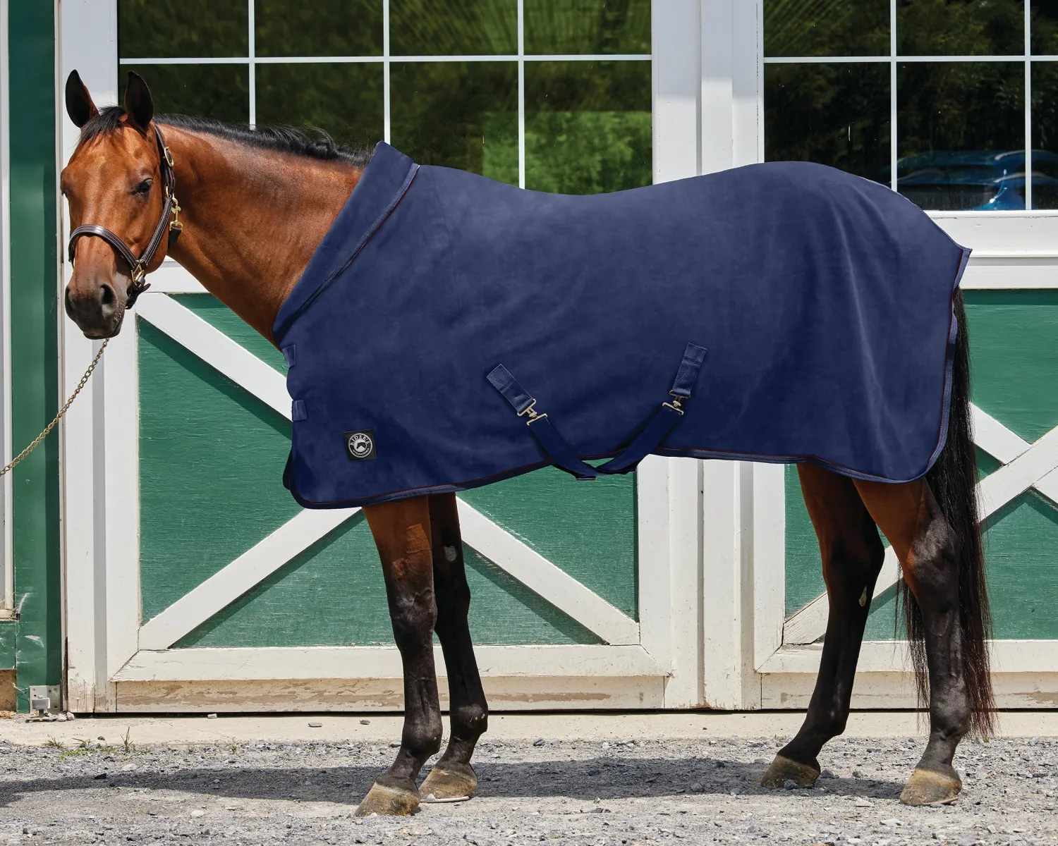 INTEX EQUESTRIAN Rider’s International™ Cozy Neck Fleece Cooler Sale