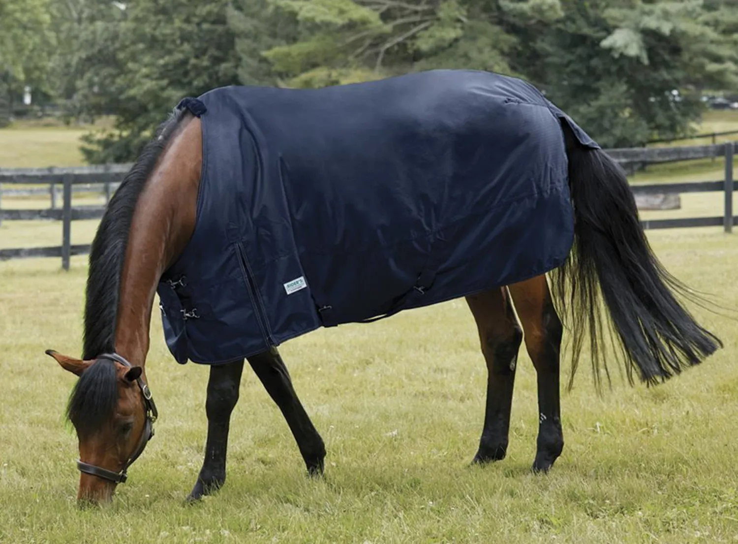 S.K. EXPORTS Rider’s International™ 600D 50G Lite Turnout Navy Outlet