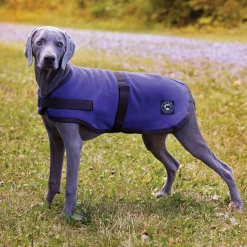 CWEAR BRANCH Rider’s International™ Fleece Dog Cooler Best