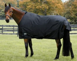 S.K. EXPORTS Rider’s International™ Heavyweight Turnout Blanket Outlet