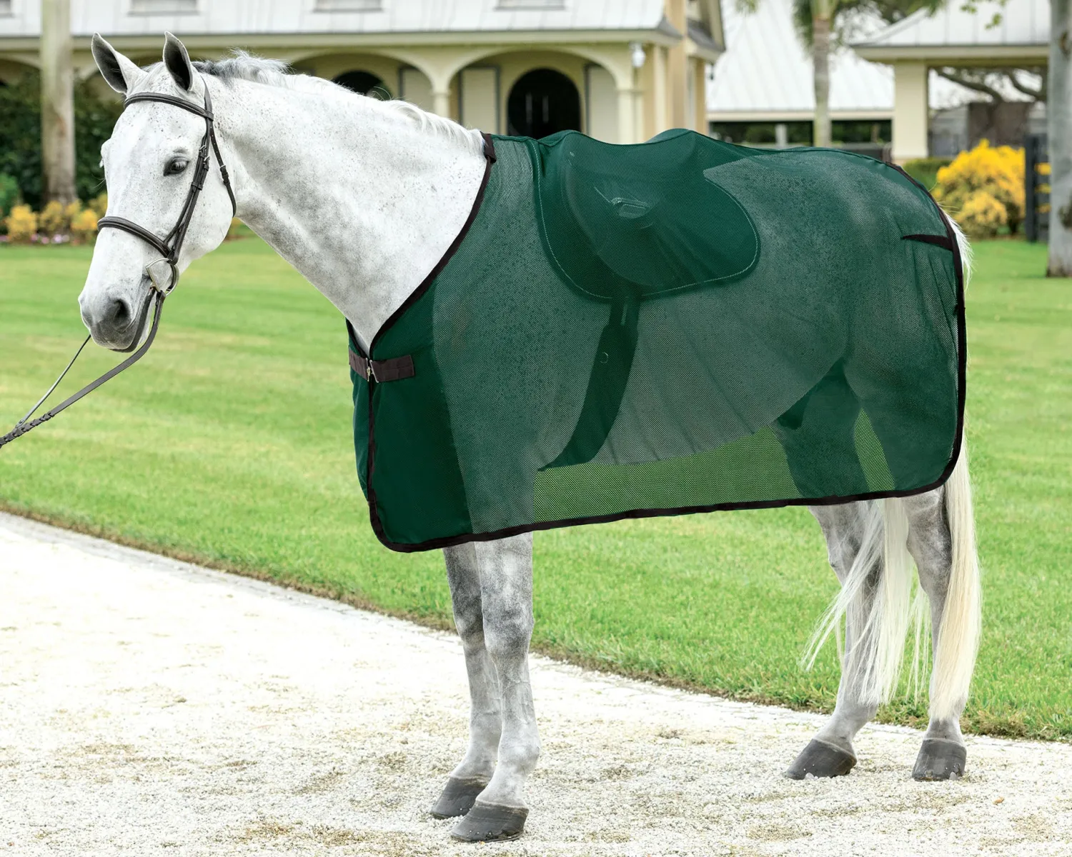 S.K. EXPORTS Rider’s International™ Ringside Scrim Sheet Discount