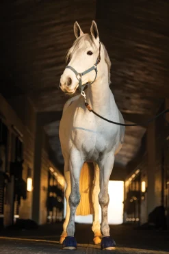 SHIVAM Rider's International™ Rubber Hook-and-Loop Bell Boots New