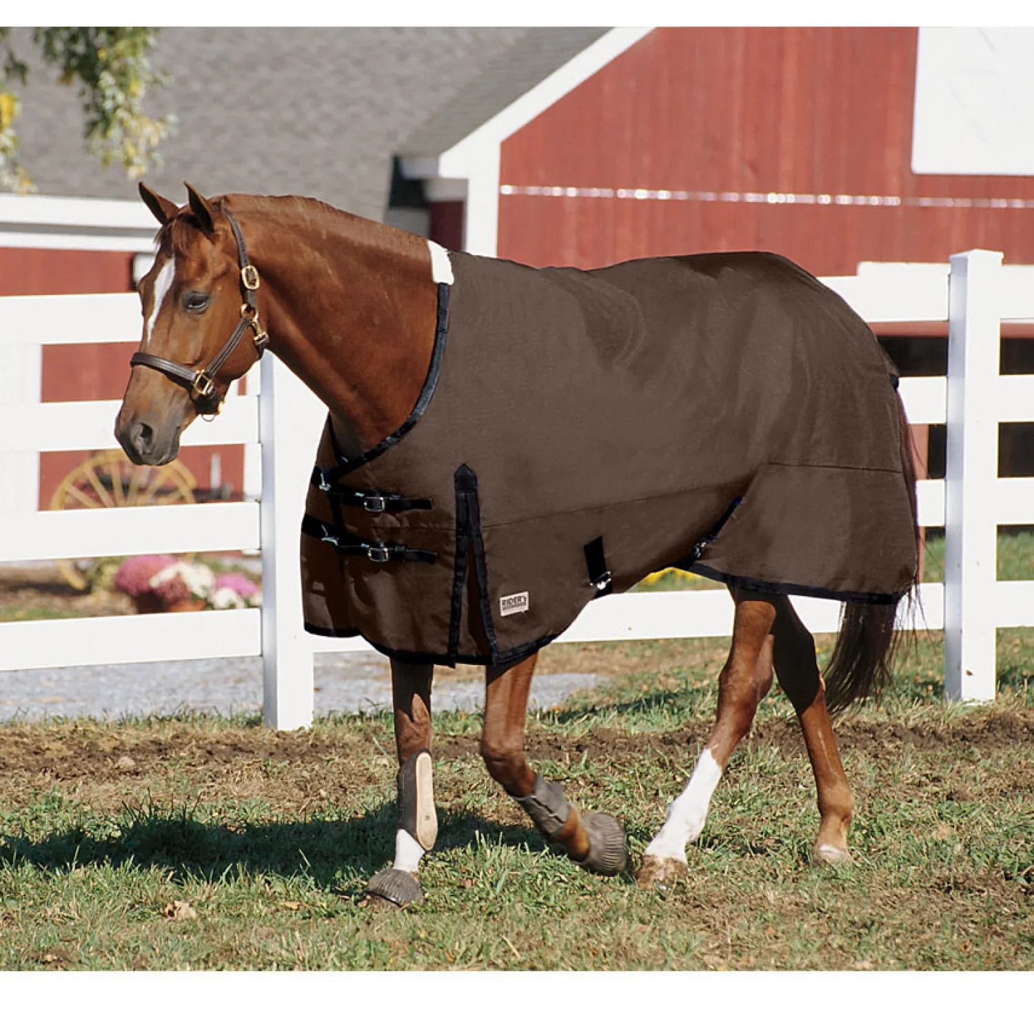 CWEAR BRANCH Rider’s International™ Supreme Heavyweight Turnout Blanket Sale