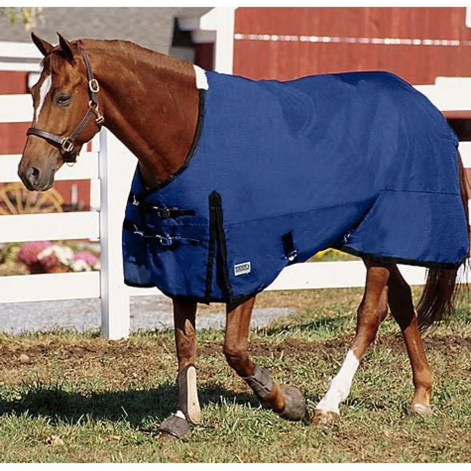 CWEAR BRANCH Rider’s International™ Supreme Heavyweight Turnout Blanket Sale