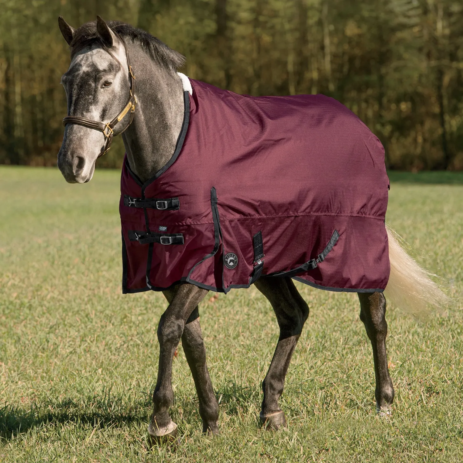 CWEAR BRANCH Rider’s International™ Supreme Heavyweight Turnout Blanket Sale