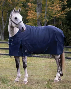 CWEAR BRANCH Rider’s International™ Supreme 100 Gram Turnout Blanket Online