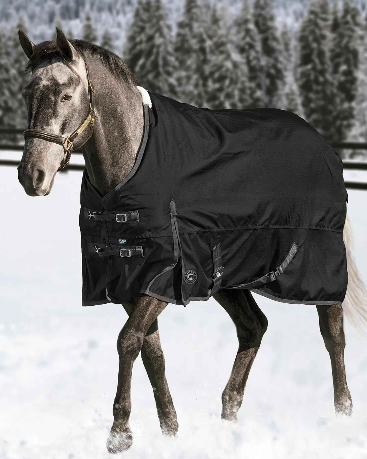 CWEAR BRANCH Rider’s International™ Supreme Medium-Weight Turnout Blanket Outlet