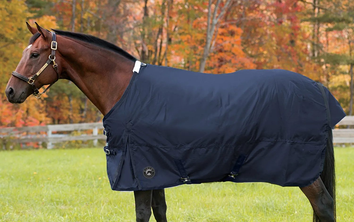 CWEAR BRANCH Rider’s International™ Supreme Medium-Weight Turnout Blanket Outlet