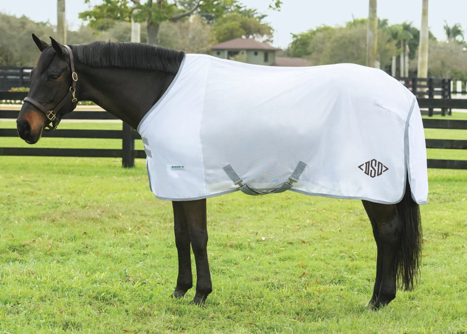 INTEX EQUESTRIAN Rider’s International™ Fly Sheet Discount