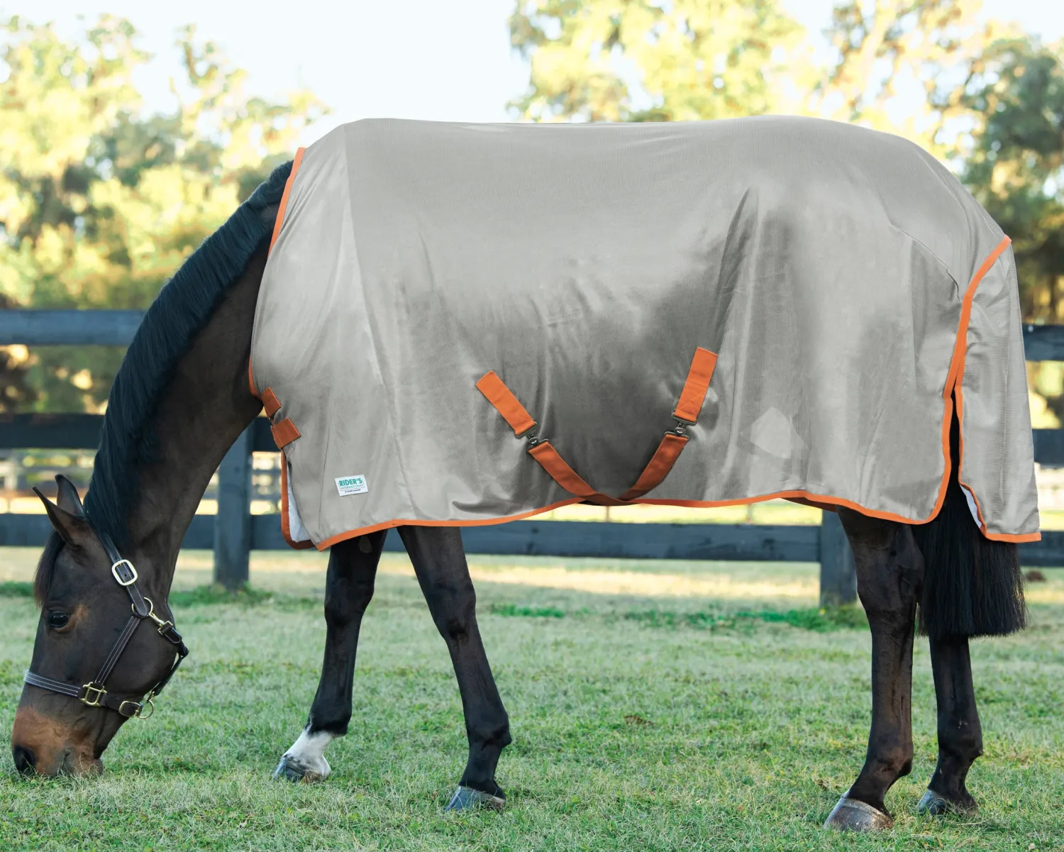 INTEX EQUESTRIAN Rider’s International™ Fly Sheet Discount