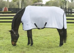INTEX EQUESTRIAN Rider’s International™ Fly Sheet Discount