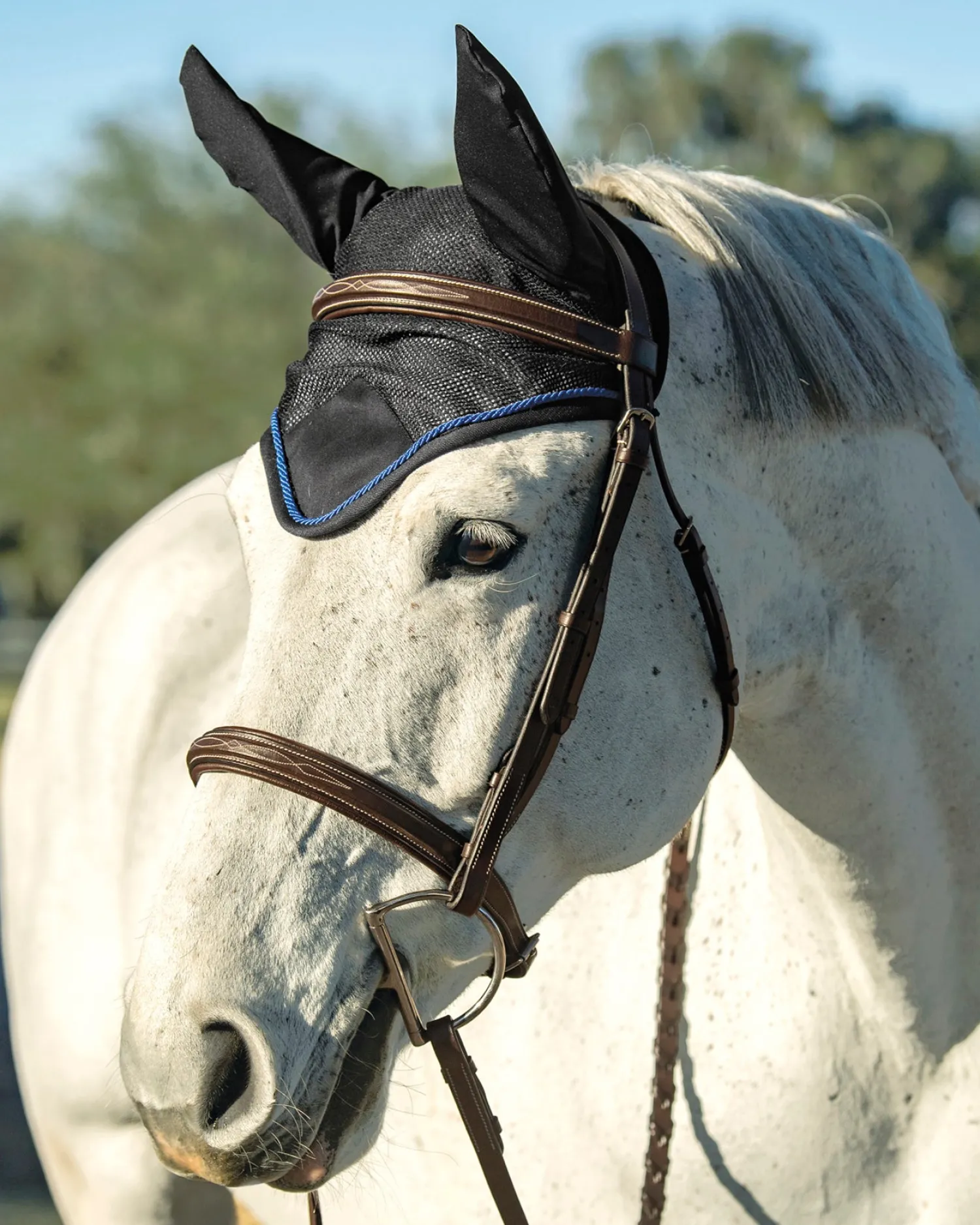 INTEX EQUESTRIAN Rider’s International™ Lightweight Mesh Ear Bonnet Sale