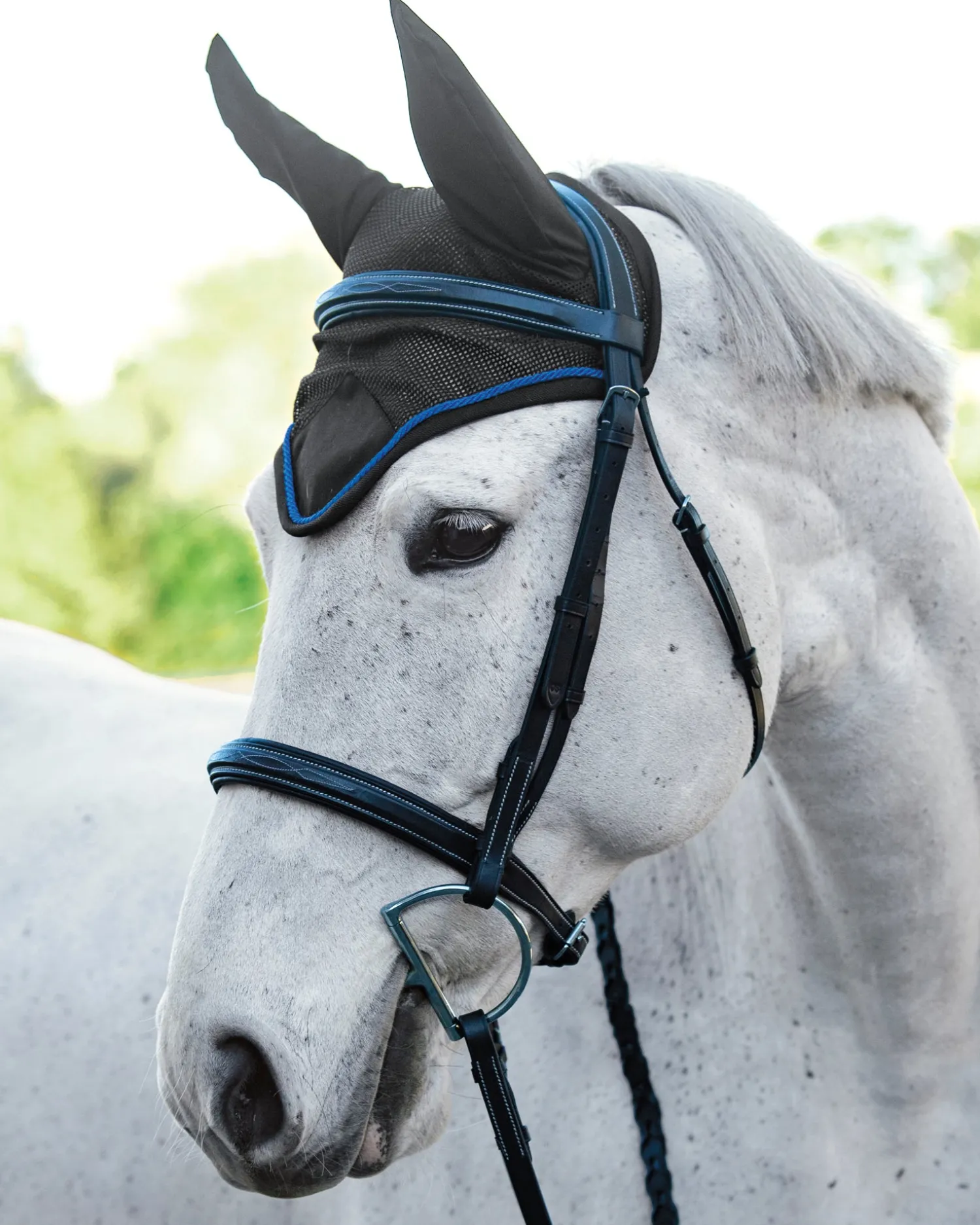 INTEX EQUESTRIAN Rider’s International™ Lightweight Mesh Ear Bonnet Sale