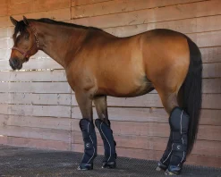 KARTIKEYA INTL Rider’s International™ Shipping Boot Set Black Best