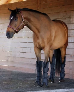 KARTIKEYA INTL Rider’s International™ Shipping Boot Set Black Best