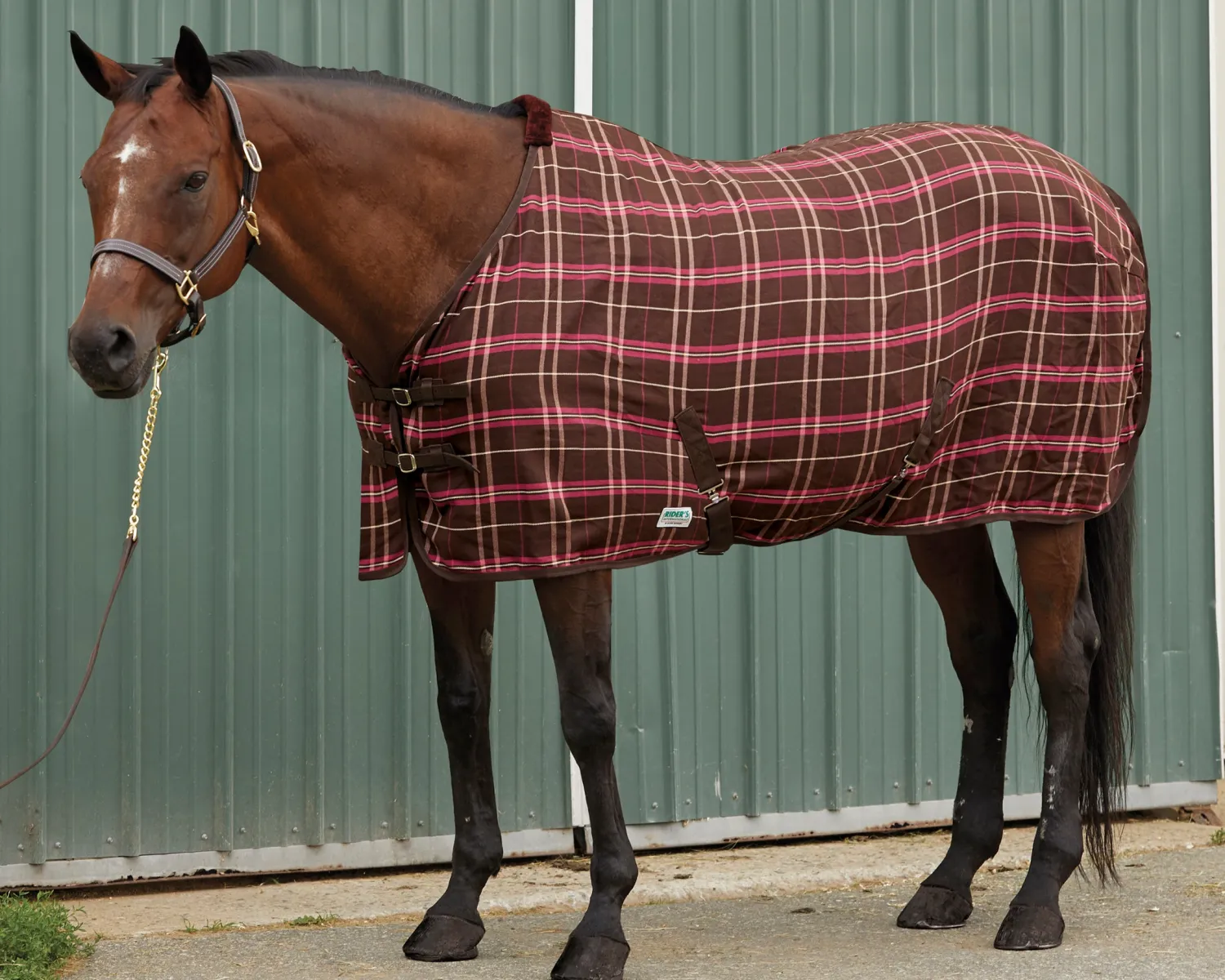 S.K. EXPORTS Rider’s International™ Stable Sheet Online