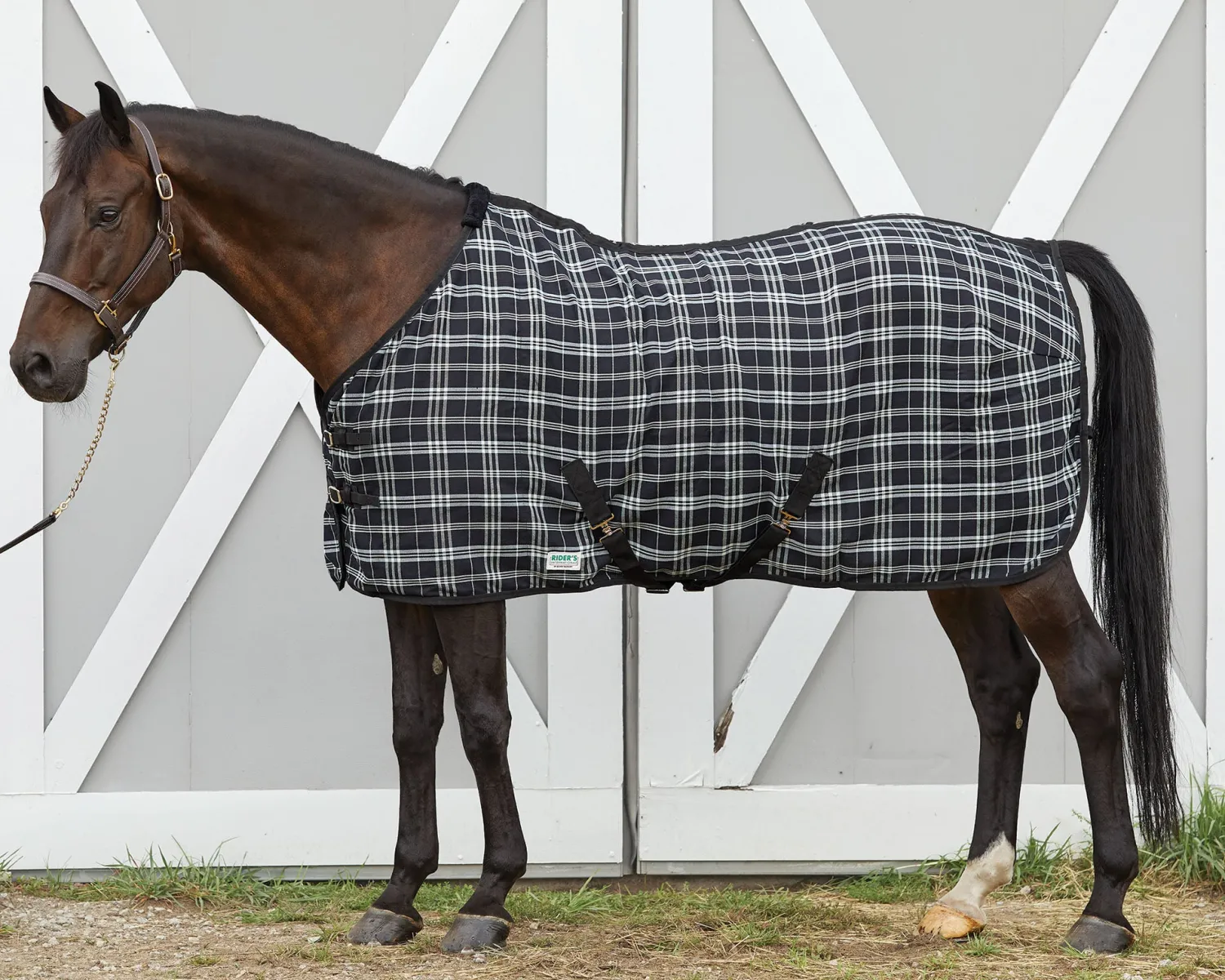 S.K. EXPORTS Rider’s International™ Stable Sheet Online