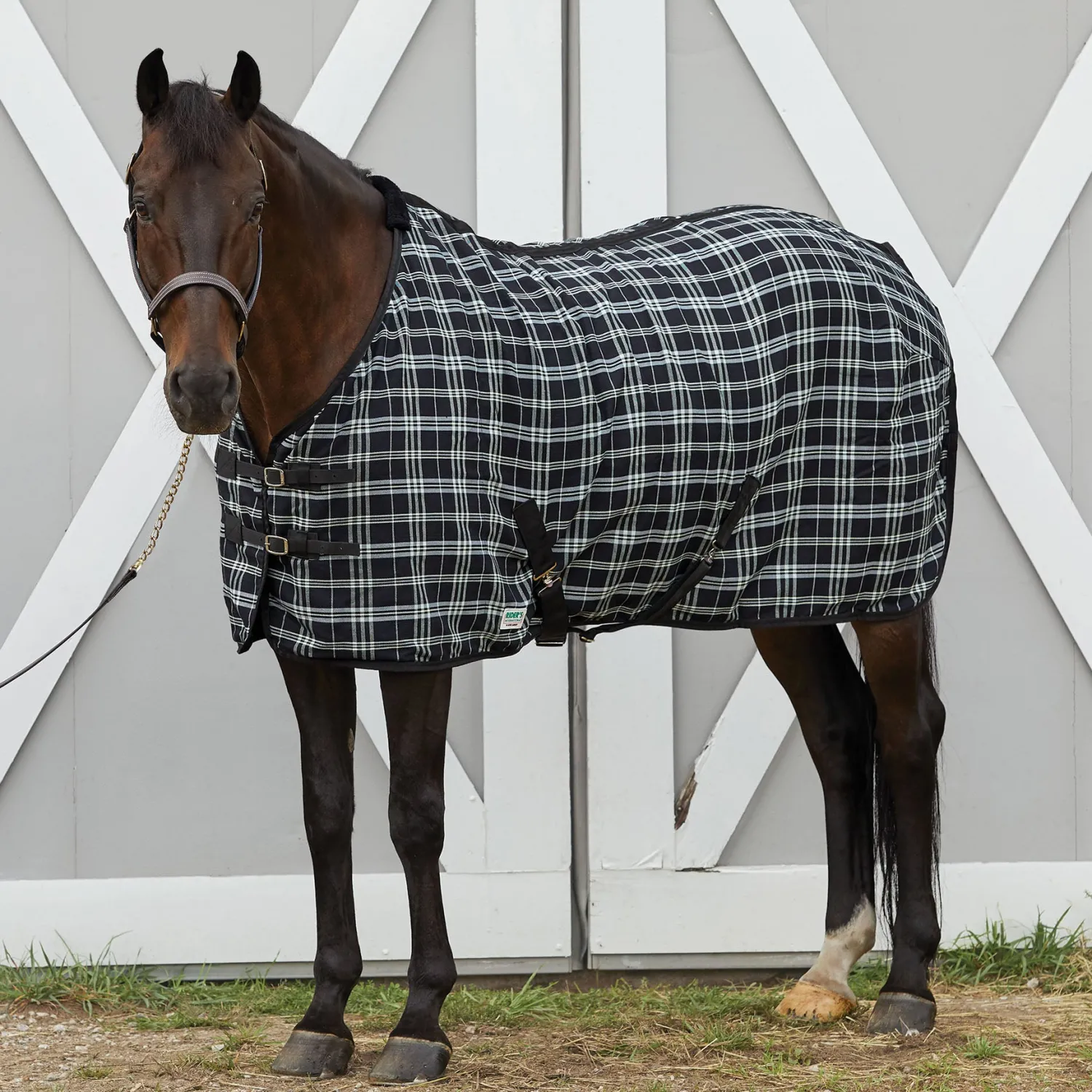 S.K. EXPORTS Rider’s International™ Stable Sheet Online