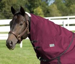 CWEAR BRANCH Rider’s International™ Supreme Neck Cover Sale