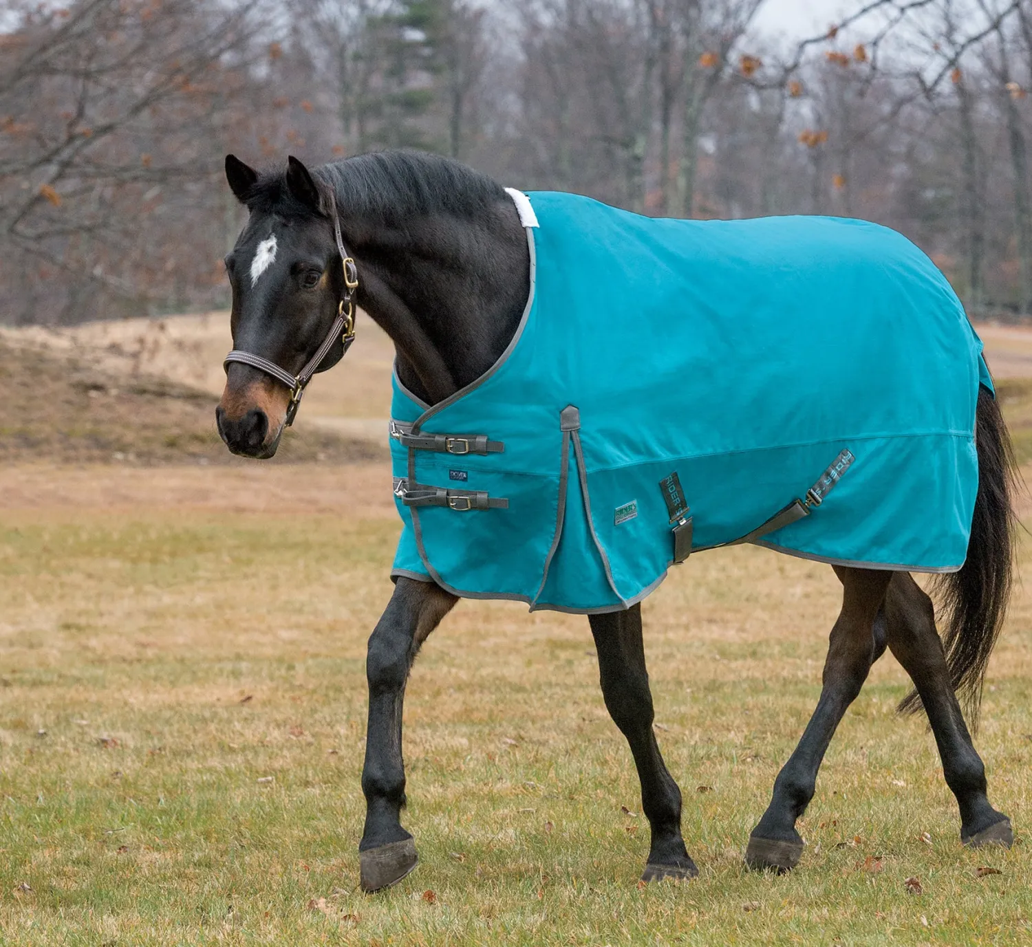 CWEAR BRANCH Rider’s International™ Supreme Turnout Sheet Best