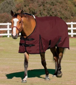 CWEAR BRANCH Rider’s International™ Supreme Turnout Sheet Best