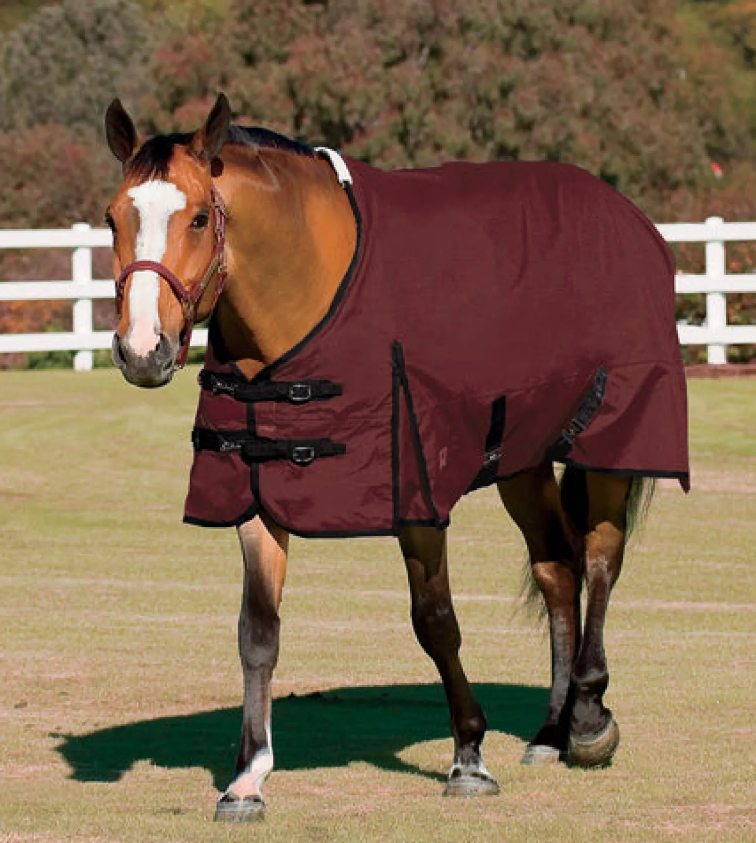 CWEAR BRANCH Rider’s International™ Supreme Turnout Sheet Best