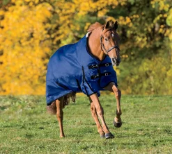 CWEAR BRANCH Rider’s International™ Supreme Turnout Sheet Best