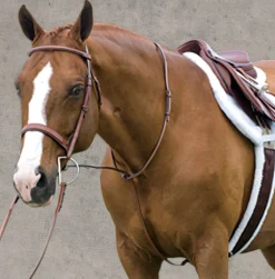 ERS Rodrigo Raised Fancy Stitched Martingale Clearance