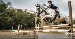 ANIMAL HEALTH INT Safe-Guard® Dewormer Hot