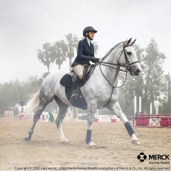 ANIMAL HEALTH INT Safe-Guard® Dewormer Hot